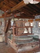 Ecoparque, un museo a cierlo abierto