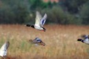 Ecoparque, un museo a cierlo abierto