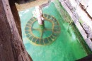 Ecoparque, un museo a cierlo abierto