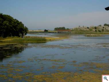 vista ecoparque